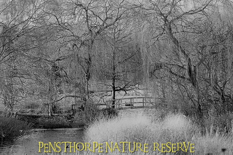 2025-12-11PENSDECB00020A.JPG