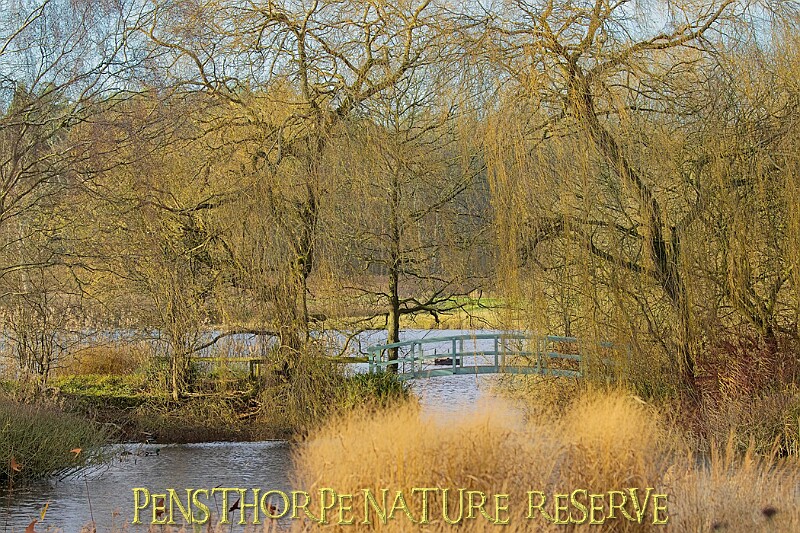 2025-12-11PENSDECB00021A.JPG
