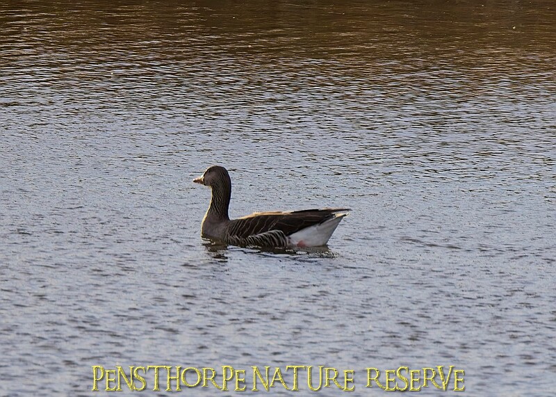 2025-12-11PENSDECB00032A.JPG