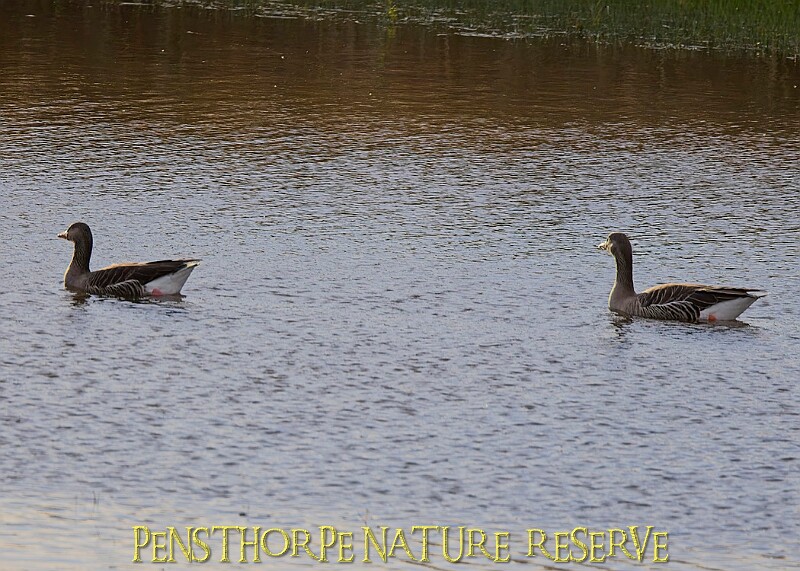 2025-12-11PENSDECB00033A.JPG