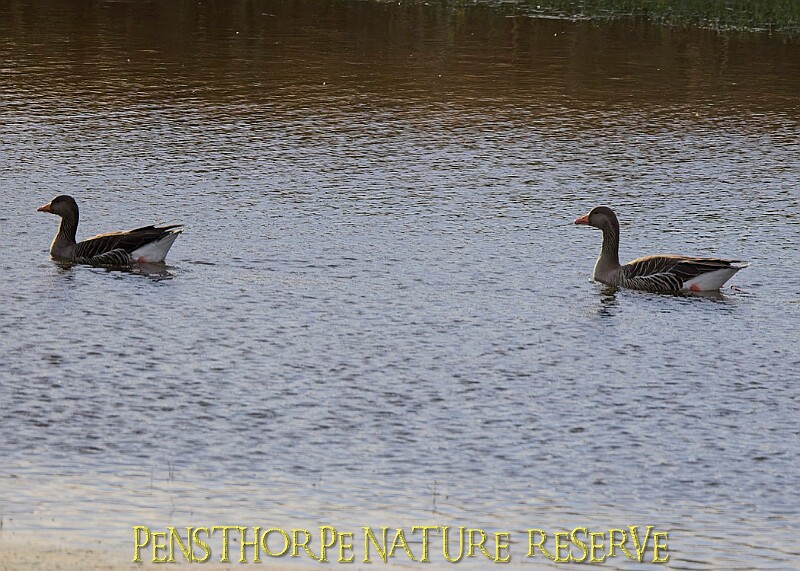 2025-12-11PENSDECB00034A.JPG