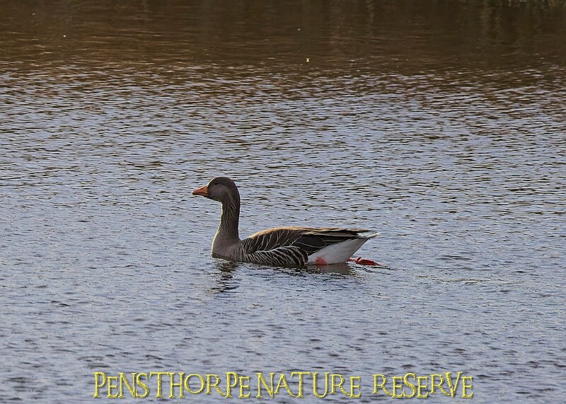 2025-12-11PENSDECB00035A.JPG