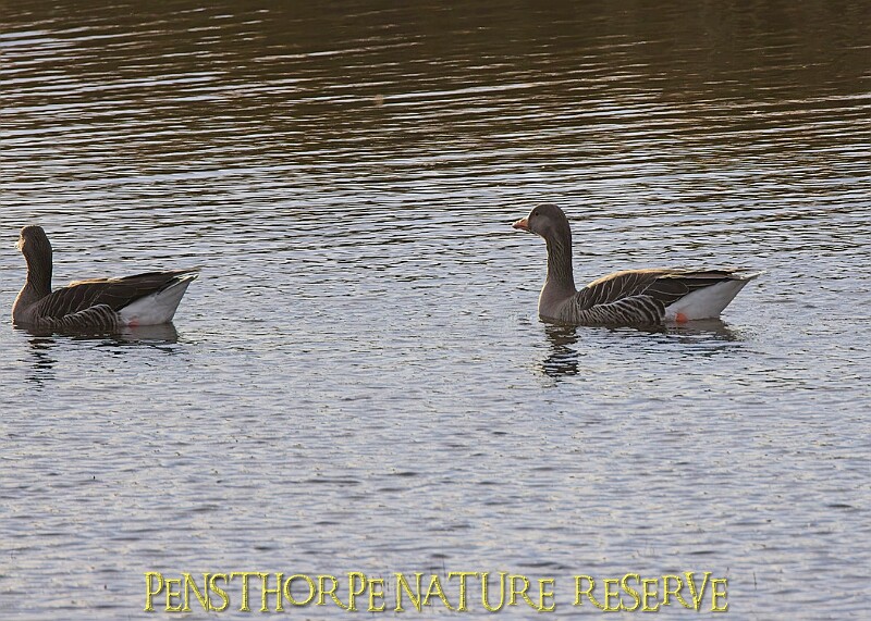 2025-12-11PENSDECB00036A.JPG