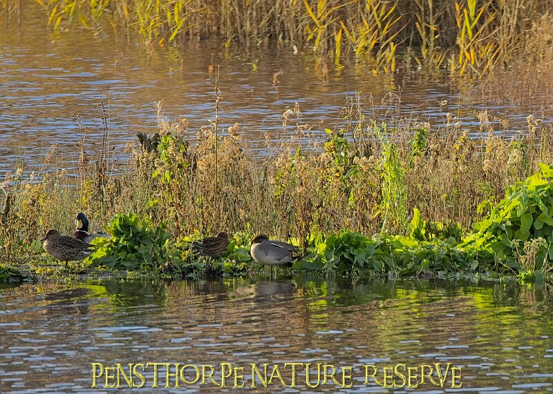2025-12-11PENSDECB00046A.JPG