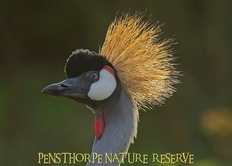 2025-12-11PENSDECB00055A.JPG
