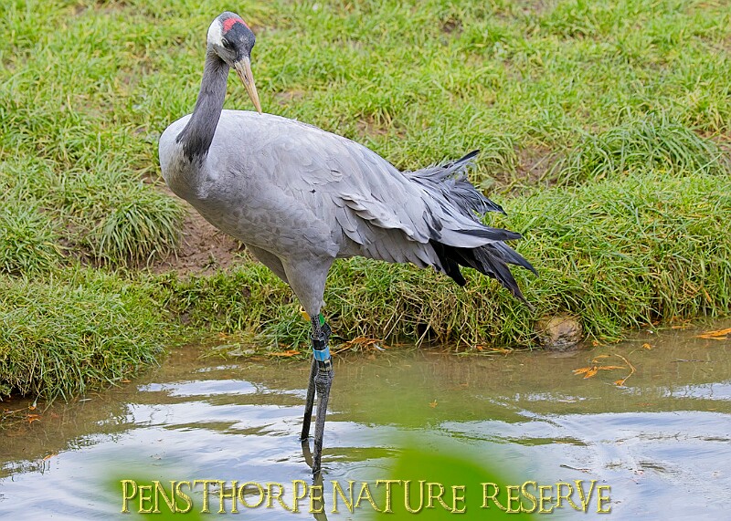 2025-12-11PENSDECB00057A.JPG