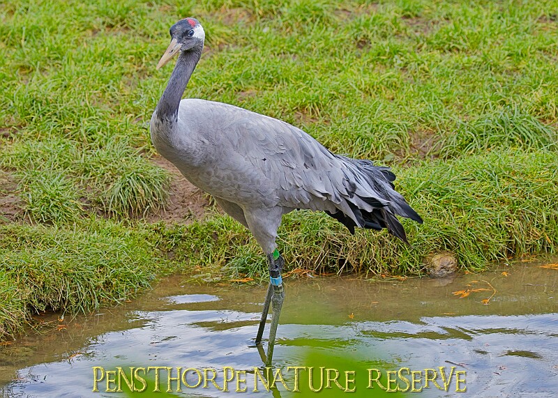 2025-12-11PENSDECB00058A.JPG