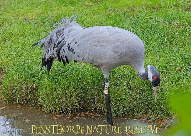 2025-12-11PENSDECB00061A.JPG