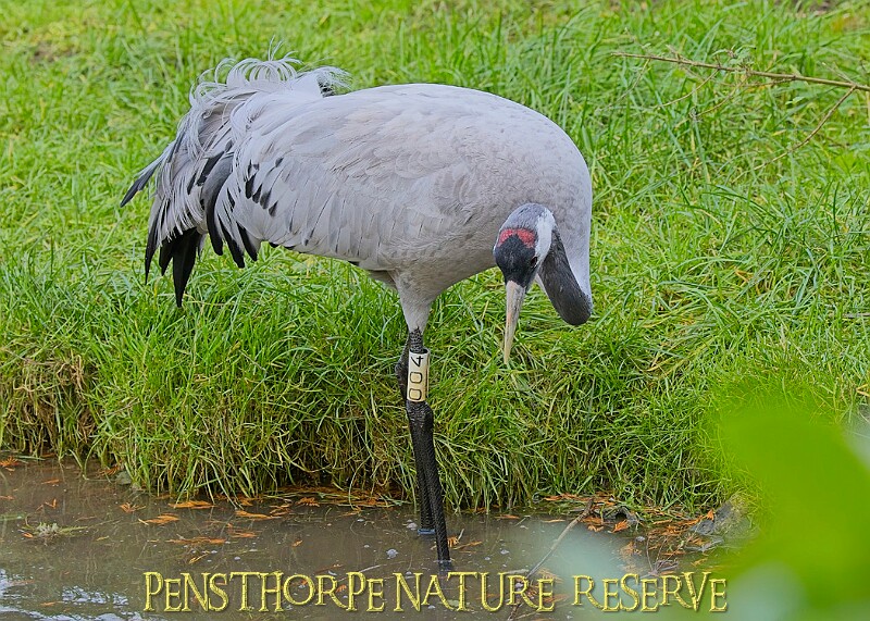 2025-12-11PENSDECB00063A.JPG