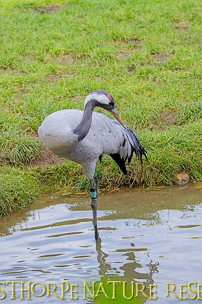 2025-12-11PENSDECB00067A.JPG