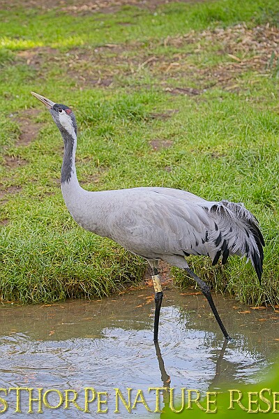 2025-12-11PENSDECB00069A.JPG