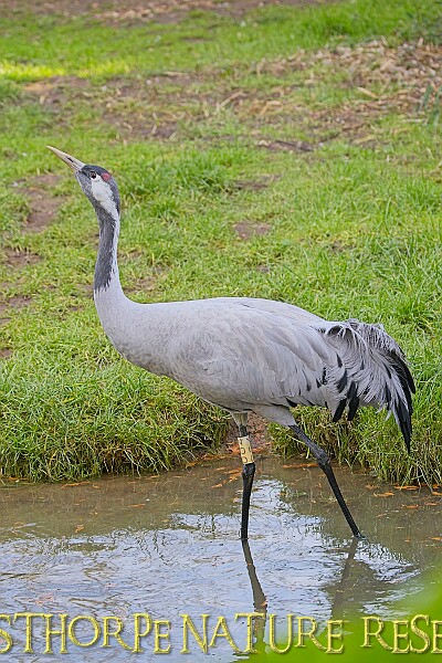 2025-12-11PENSDECB00070A.JPG