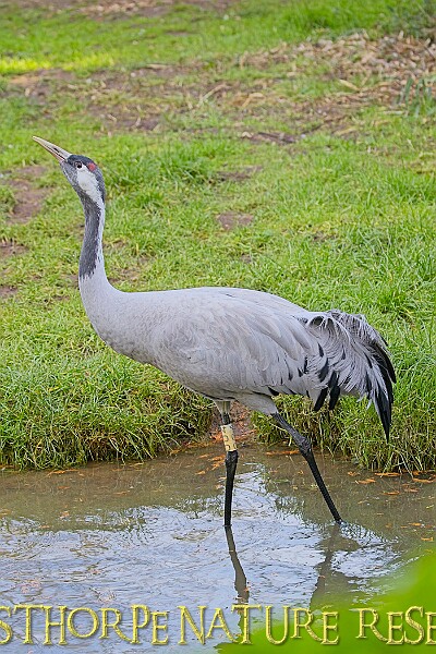 2025-12-11PENSDECB00071A.JPG