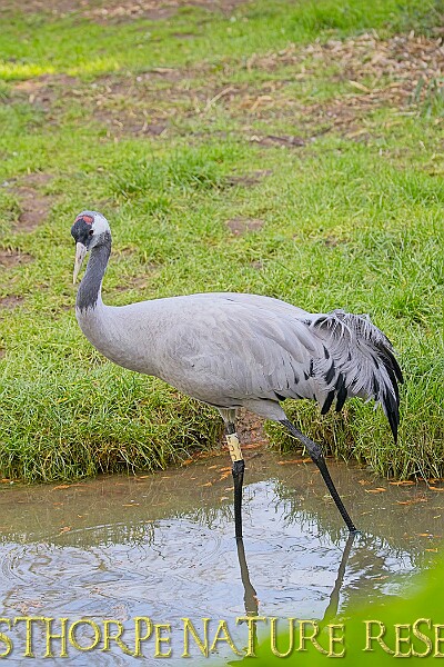 2025-12-11PENSDECB00072A.JPG