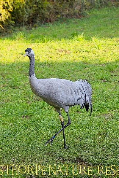 2025-12-11PENSDECB00081A.JPG