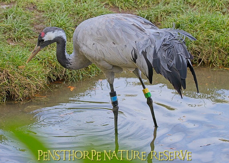 2025-12-11PENSDECB00083A.JPG