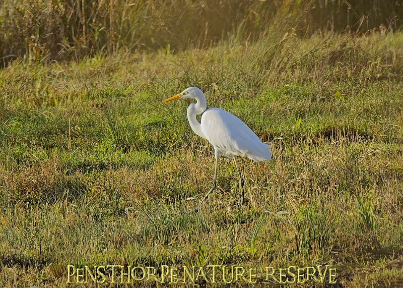 2025-12-11PENSDECB00093A.JPG