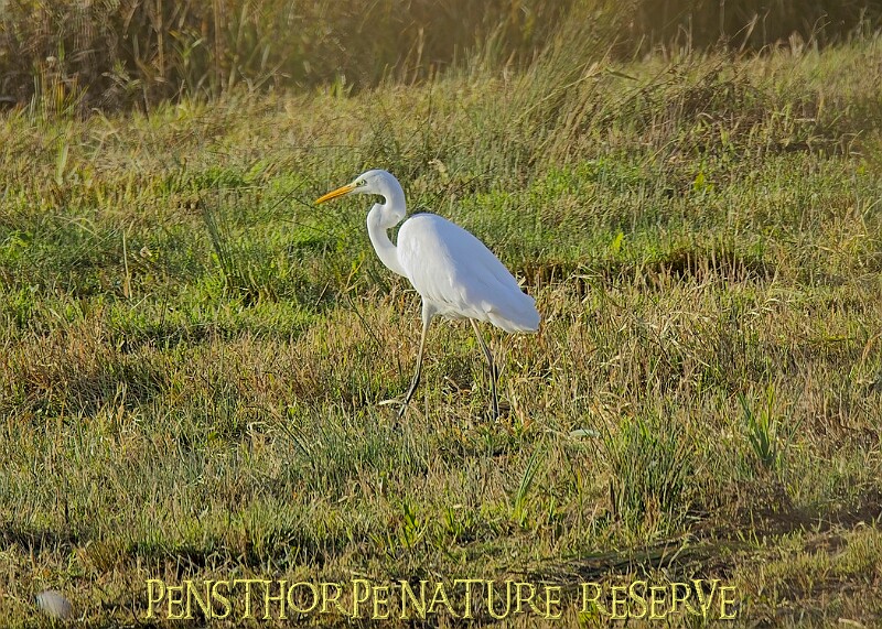 2025-12-11PENSDECB00094A.JPG