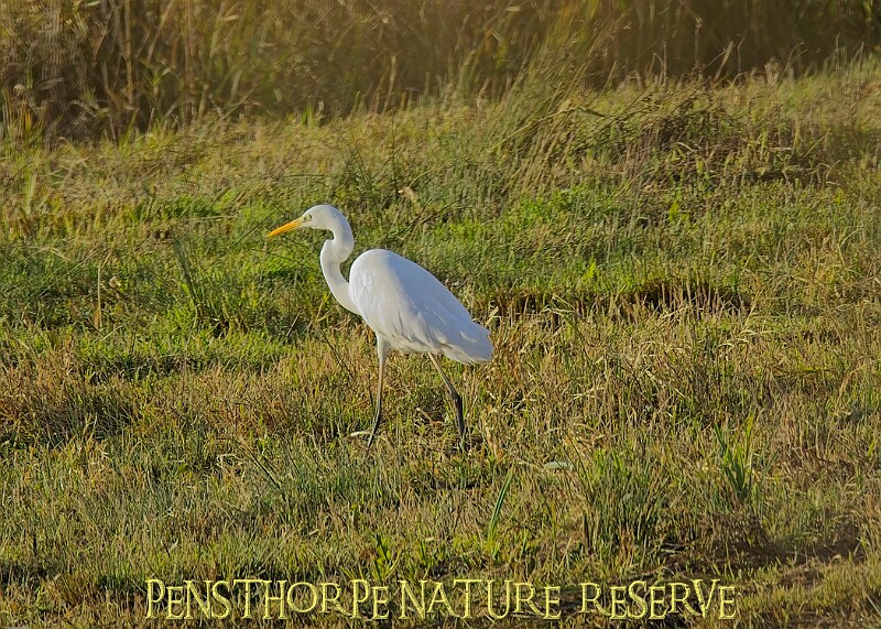 2025-12-11PENSDECB00095A.JPG