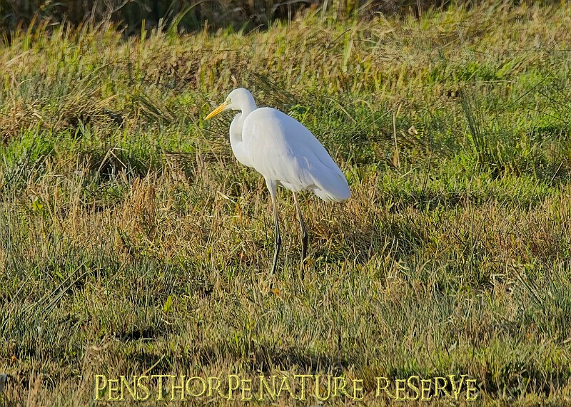 2025-12-11PENSDECB00099A.JPG
