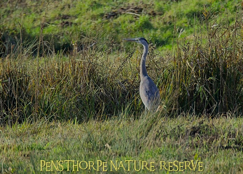 2025-12-11PENSDECB00117A.JPG