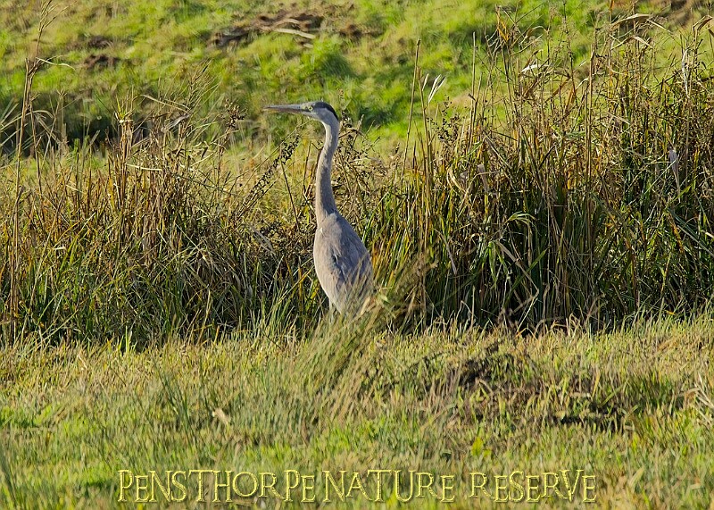 2025-12-11PENSDECB00118A.JPG