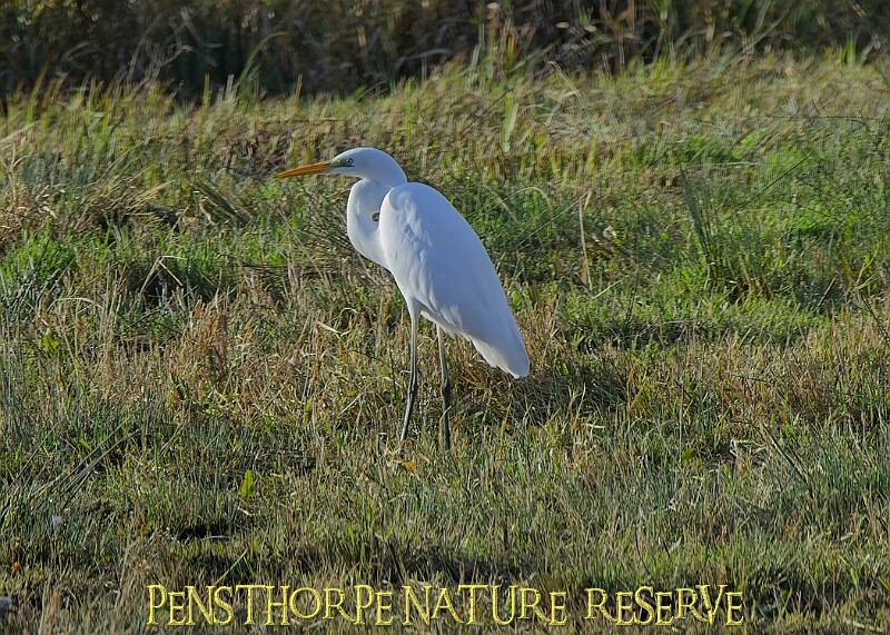 2025-12-11PENSDECB00123A.JPG