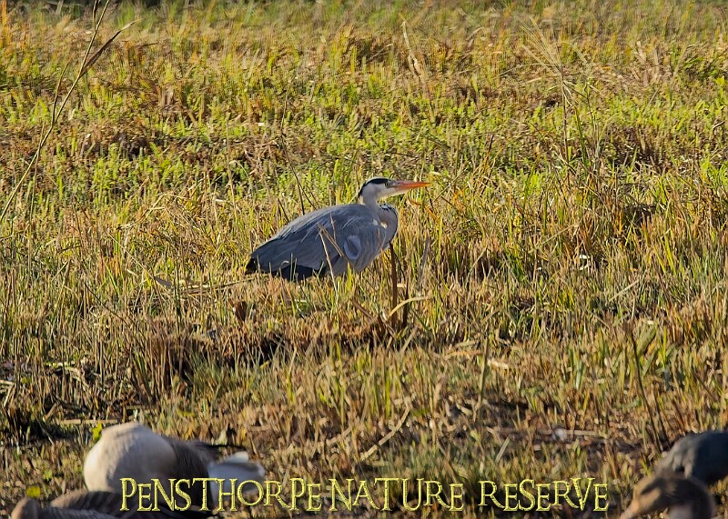 2025-12-11PENSDECB00124A.JPG