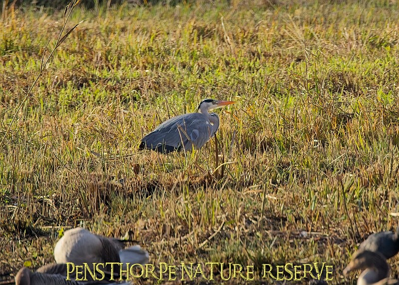 2025-12-11PENSDECB00125A.JPG