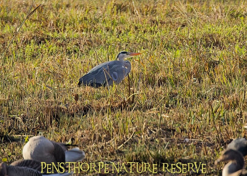 2025-12-11PENSDECB00126A.JPG