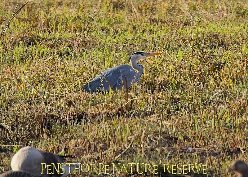 2025-12-11PENSDECB00127A.JPG