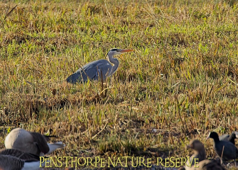 2025-12-11PENSDECB00128A.JPG