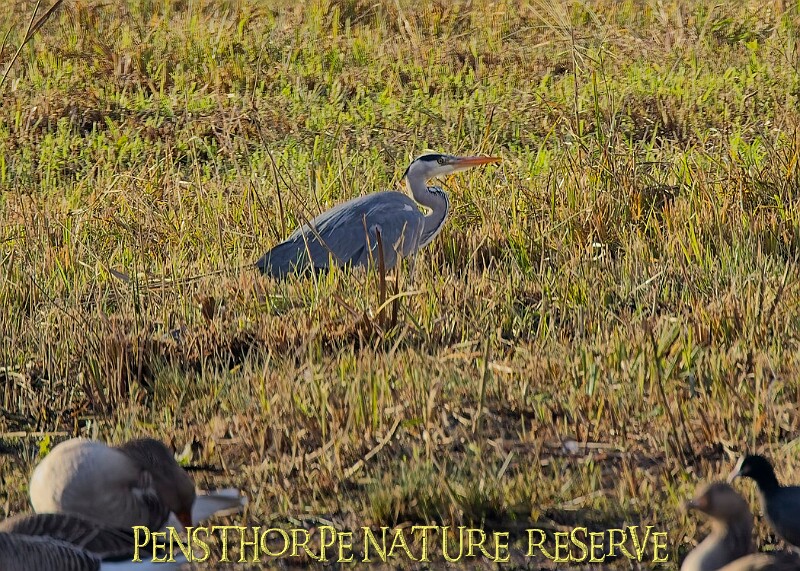 2025-12-11PENSDECB00129A.JPG