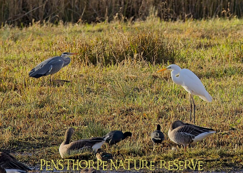 2025-12-11PENSDECB00131A.JPG