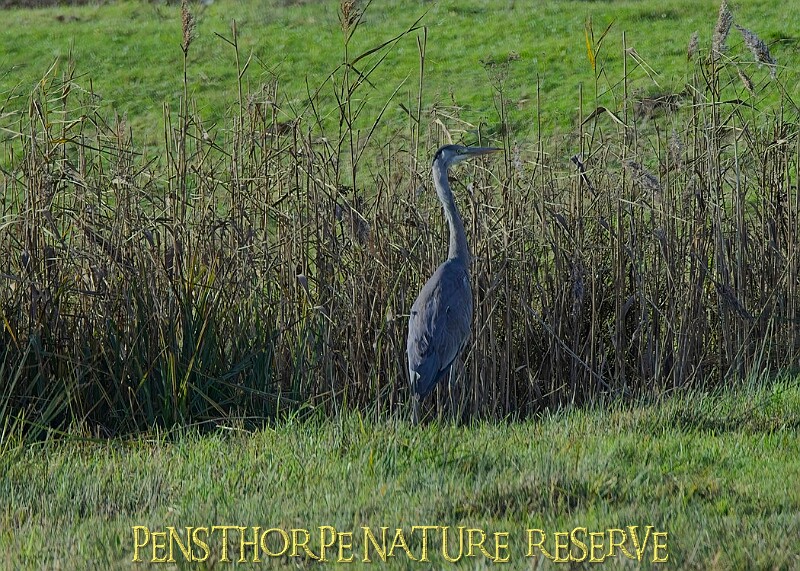 2025-12-11PENSDECB00145A.JPG