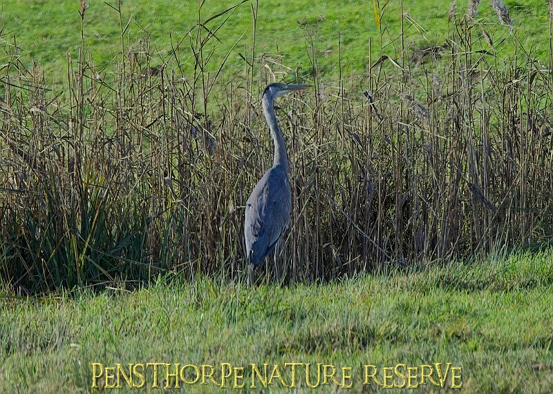 2025-12-11PENSDECB00146A.JPG
