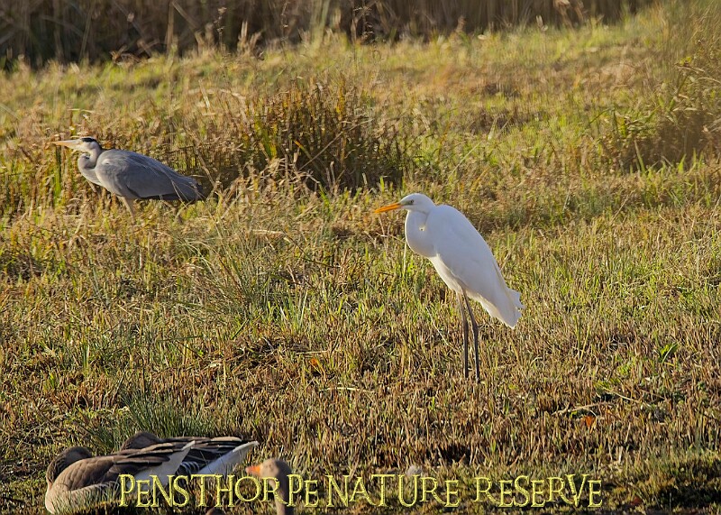 2025-12-11PENSDECB00150A.JPG