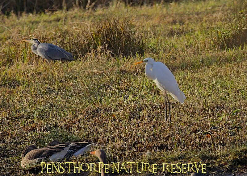 2025-12-11PENSDECB00151A.JPG