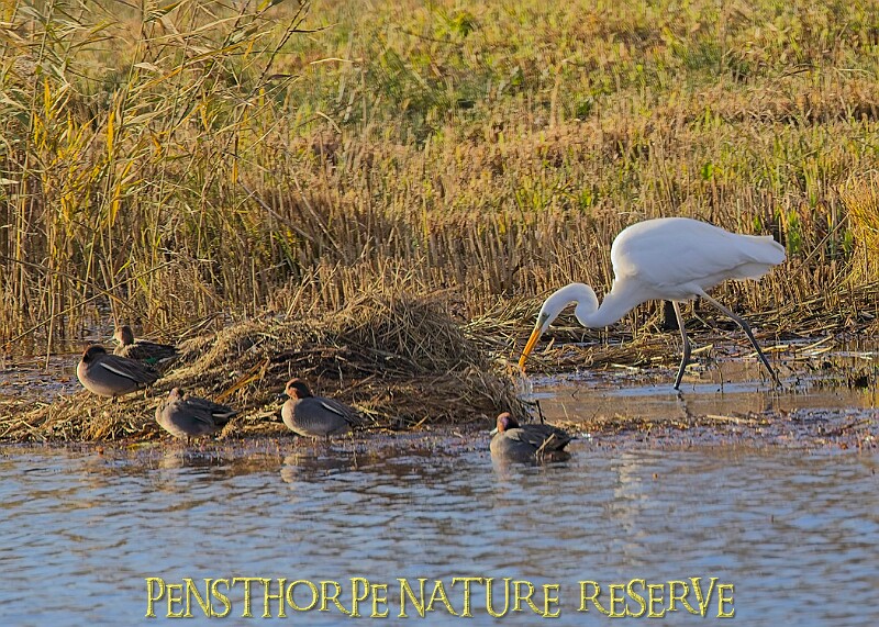2025-12-11PENSDECB00168A.JPG