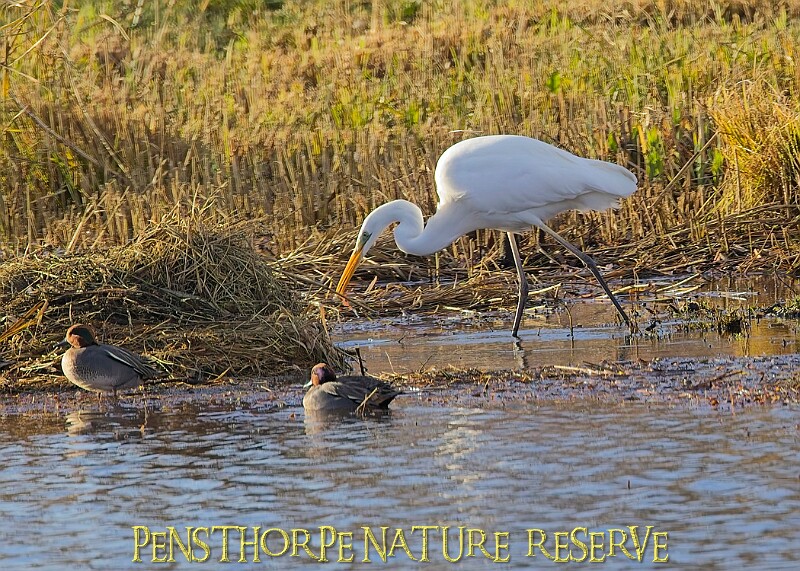 2025-12-11PENSDECB00169A.JPG