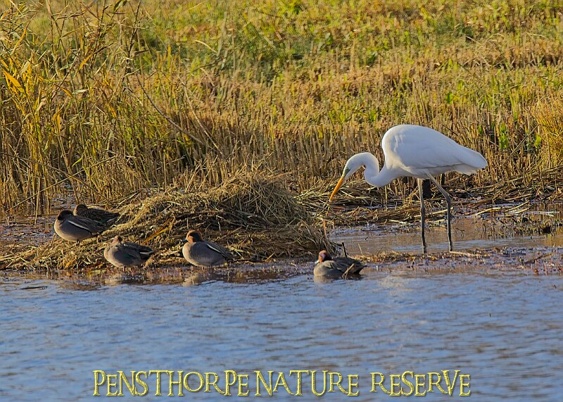 2025-12-11PENSDECB00173A.JPG
