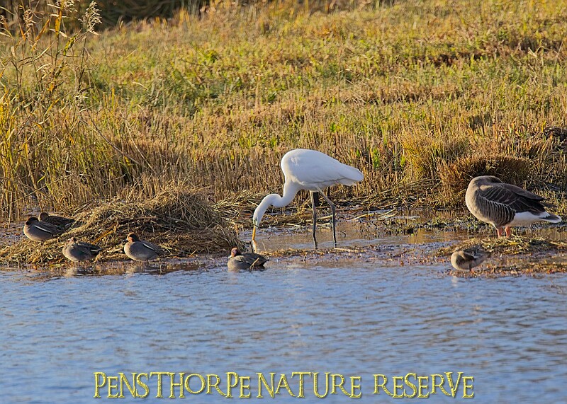 2025-12-11PENSDECB00175A.JPG