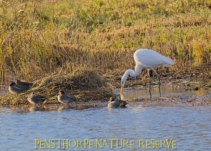 2025-12-11PENSDECB00176A.JPG