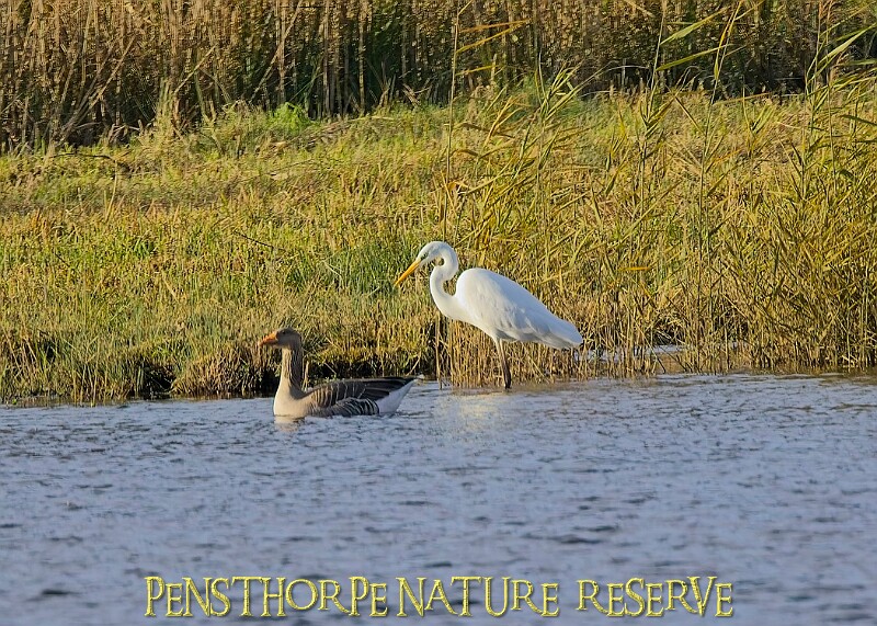 2025-12-11PENSDECB00178A.JPG