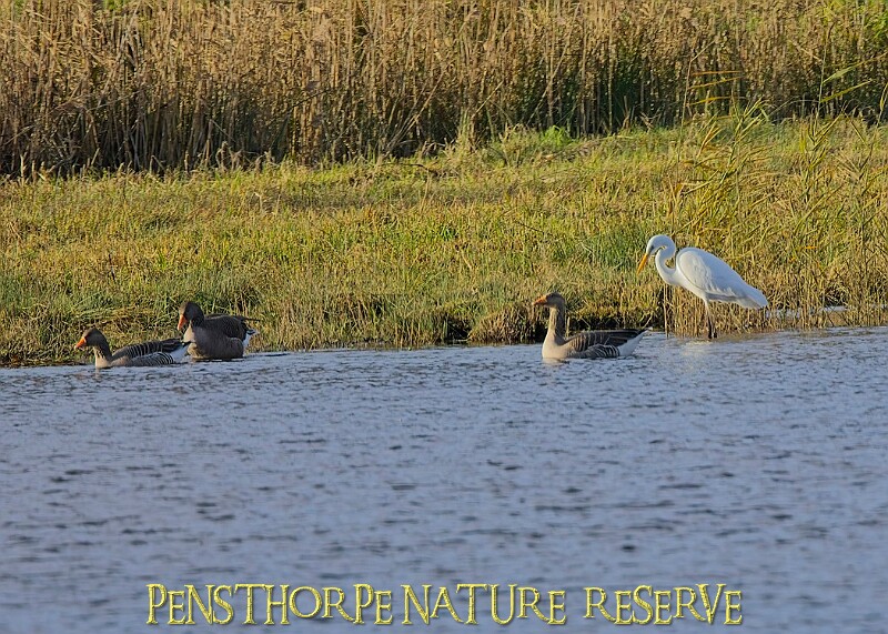 2025-12-11PENSDECB00180A.JPG