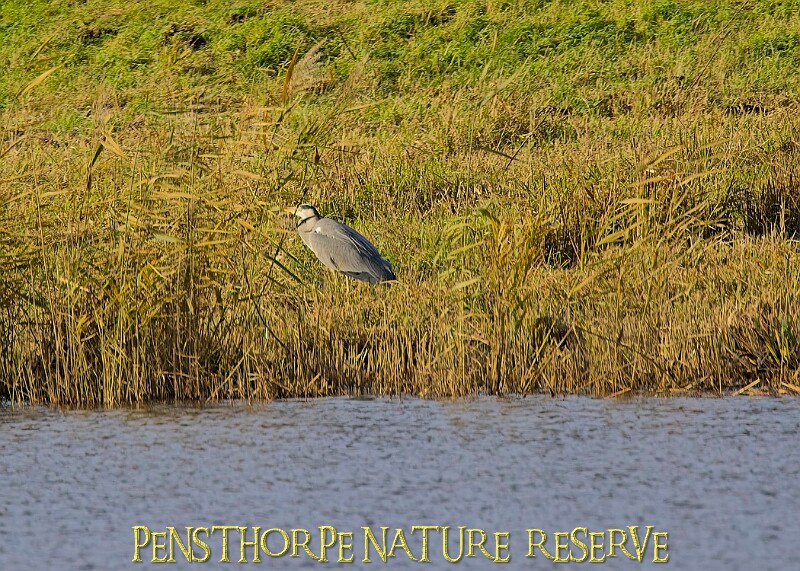 2025-12-11PENSDECB00182A.JPG