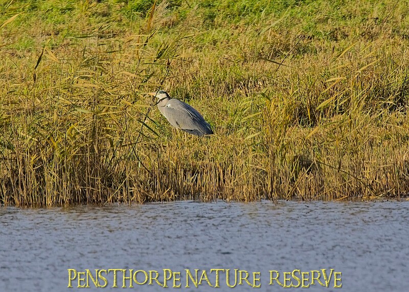 2025-12-11PENSDECB00185A.JPG