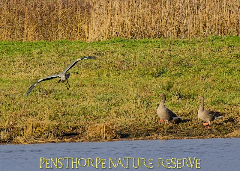 2025-12-11PENSDECB00209A.JPG