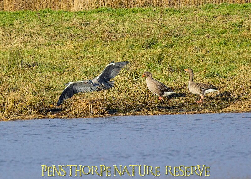 2025-12-11PENSDECB00212A.JPG