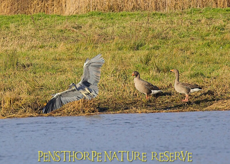2025-12-11PENSDECB00213A.JPG